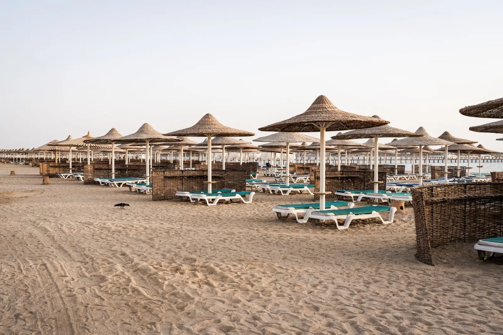 Rieten parasols op het strand van Hurghada aan de Rode Zee