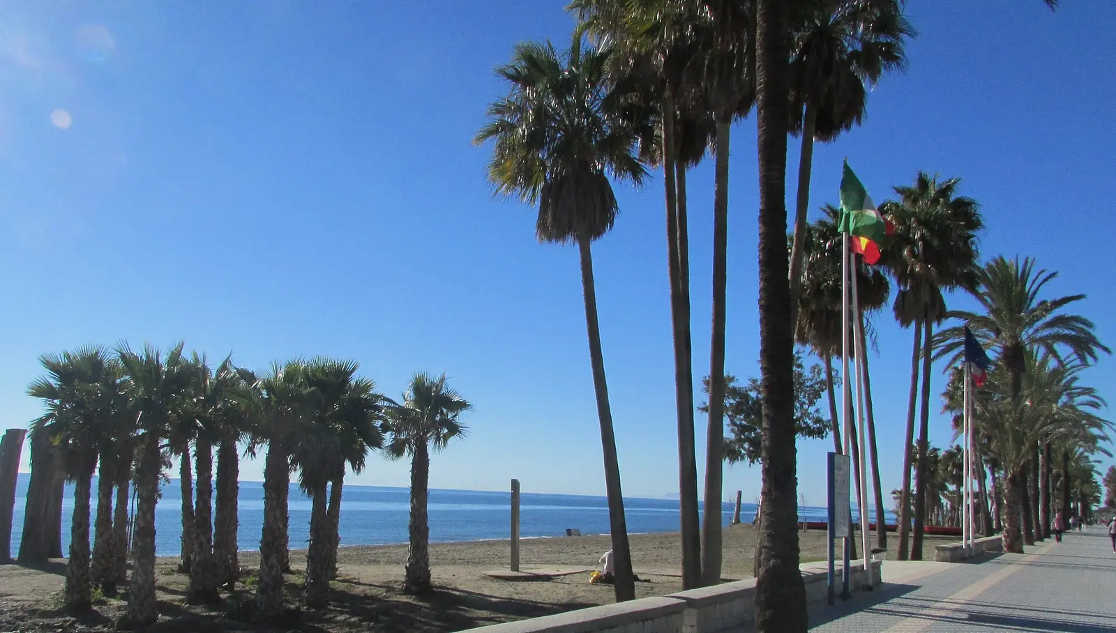 De palmenboulevard van San Pedro de Alcántara